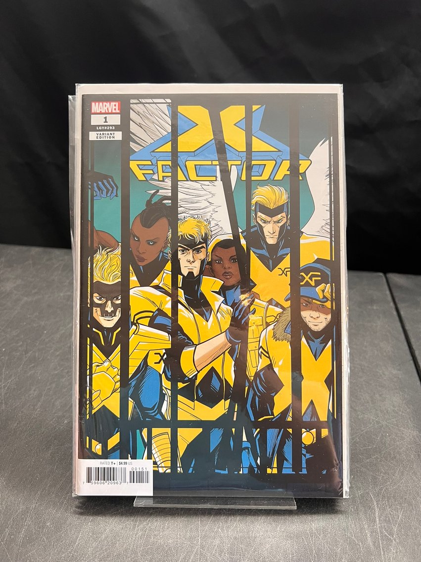 Image for COMICS & COLLECTIBLES - 500+ LOTS - ARTPRINTS, KEYS+