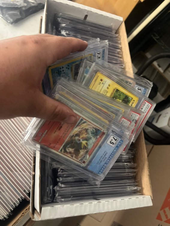 Image for POKEMON CARDS, COMICS, COLLECTIBLES - GRADED+