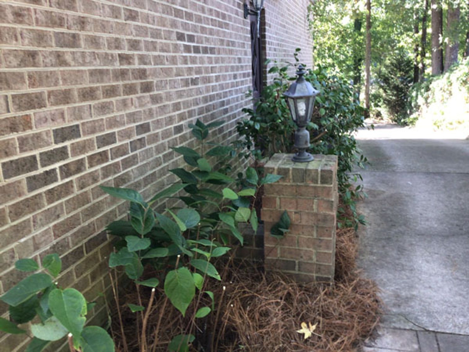 Image for Gorgeous Custom Built Home in Keith Hills!