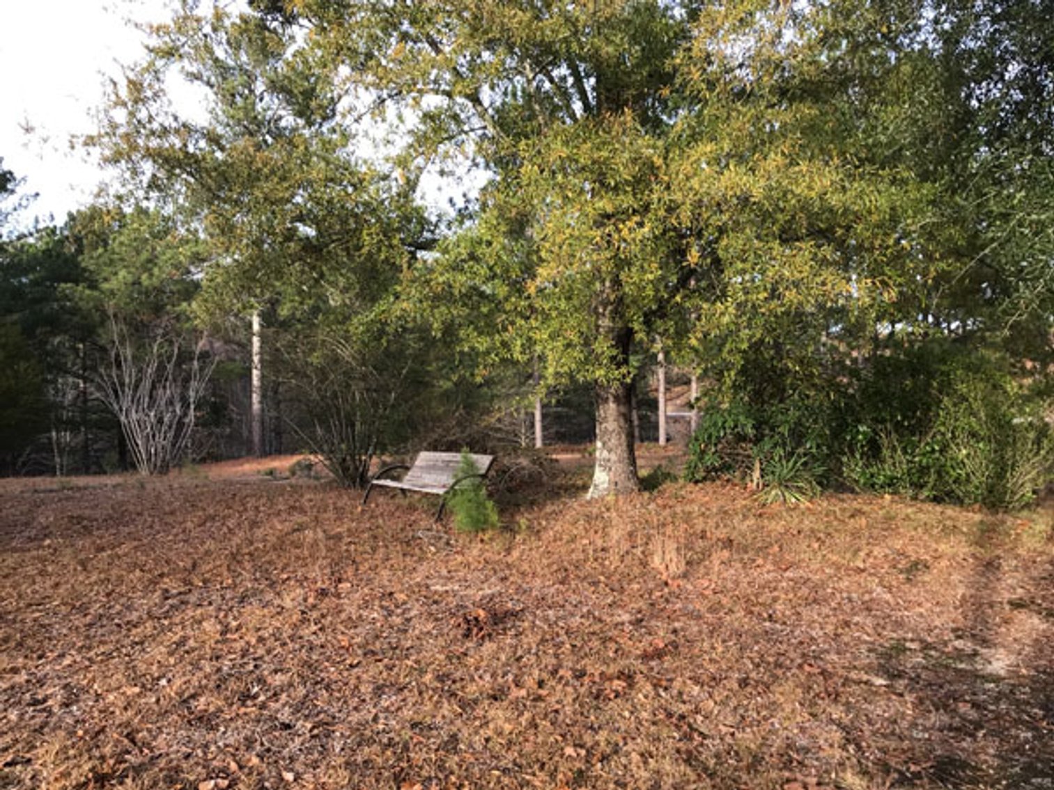 Image for A Brick Ranch Home on nearly 5 acres in Richmond County close to Rockingham, NC.