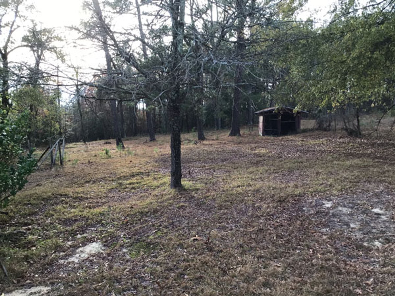Image for A Brick Ranch Home on nearly 5 acres in Richmond County close to Rockingham, NC.