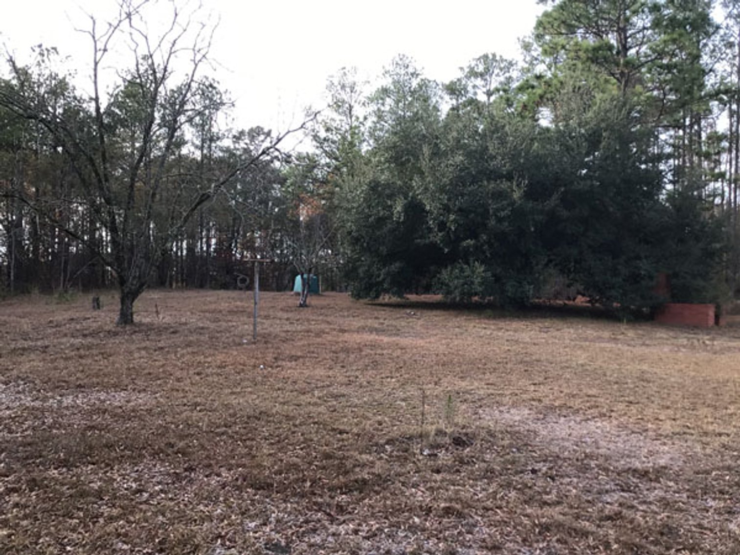 Image for A Brick Ranch Home on nearly 5 acres in Richmond County close to Rockingham, NC.