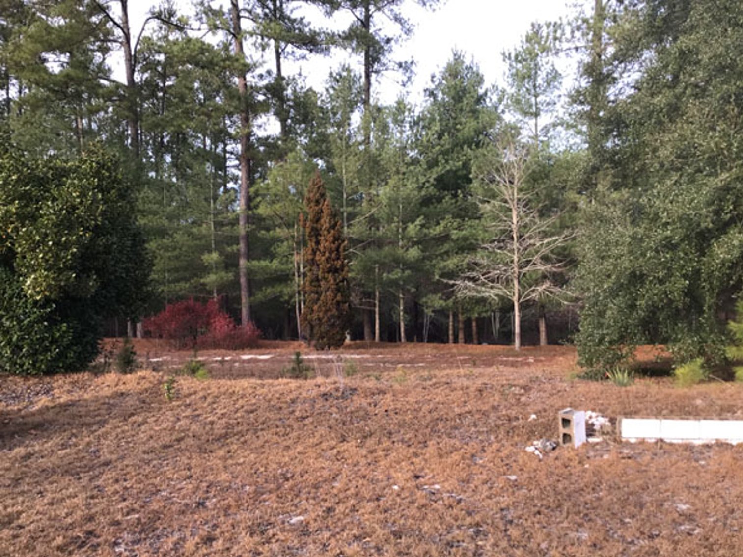 Image for A Brick Ranch Home on nearly 5 acres in Richmond County close to Rockingham, NC.