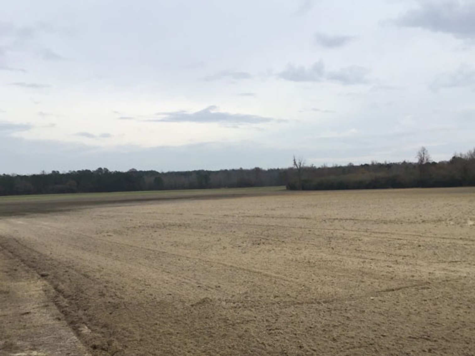 Image for 197 Acres in Harnett County Divided into Multiple Tracts with a Brick Ranch Home!