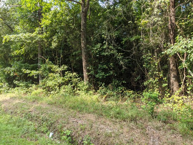 Image for 8+ Acres in Nash County!