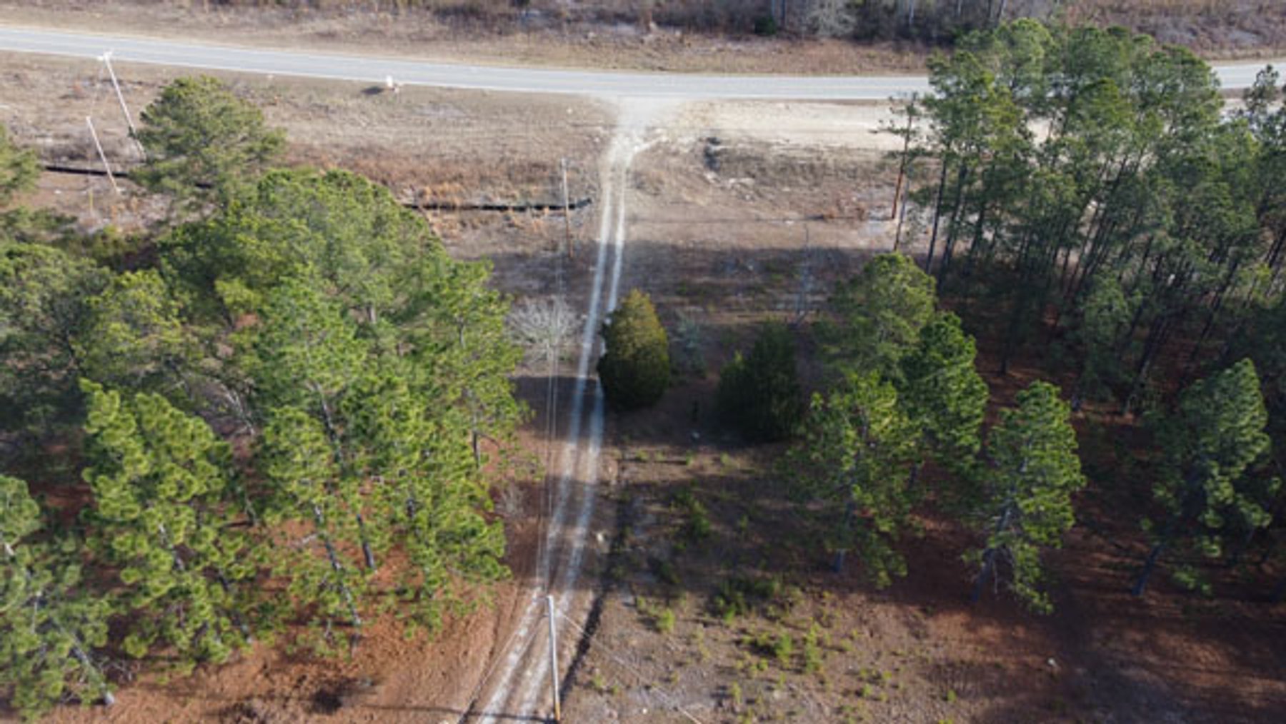 Image for A Brick Ranch Home on nearly 5 acres in Richmond County close to Rockingham, NC.