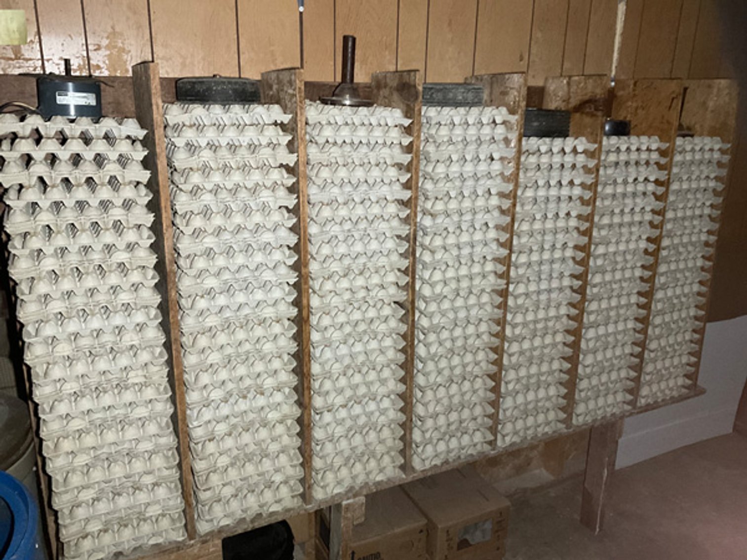 Image for Formerly Warrens Cricket Farm Inc. Personal Property