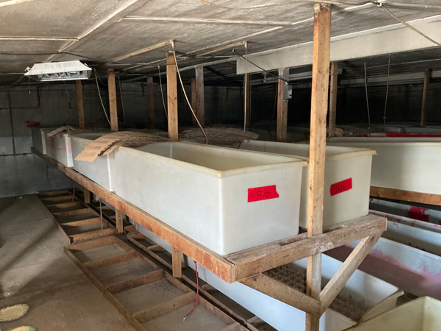 Image for Formerly Warrens Cricket Farm Inc. Personal Property