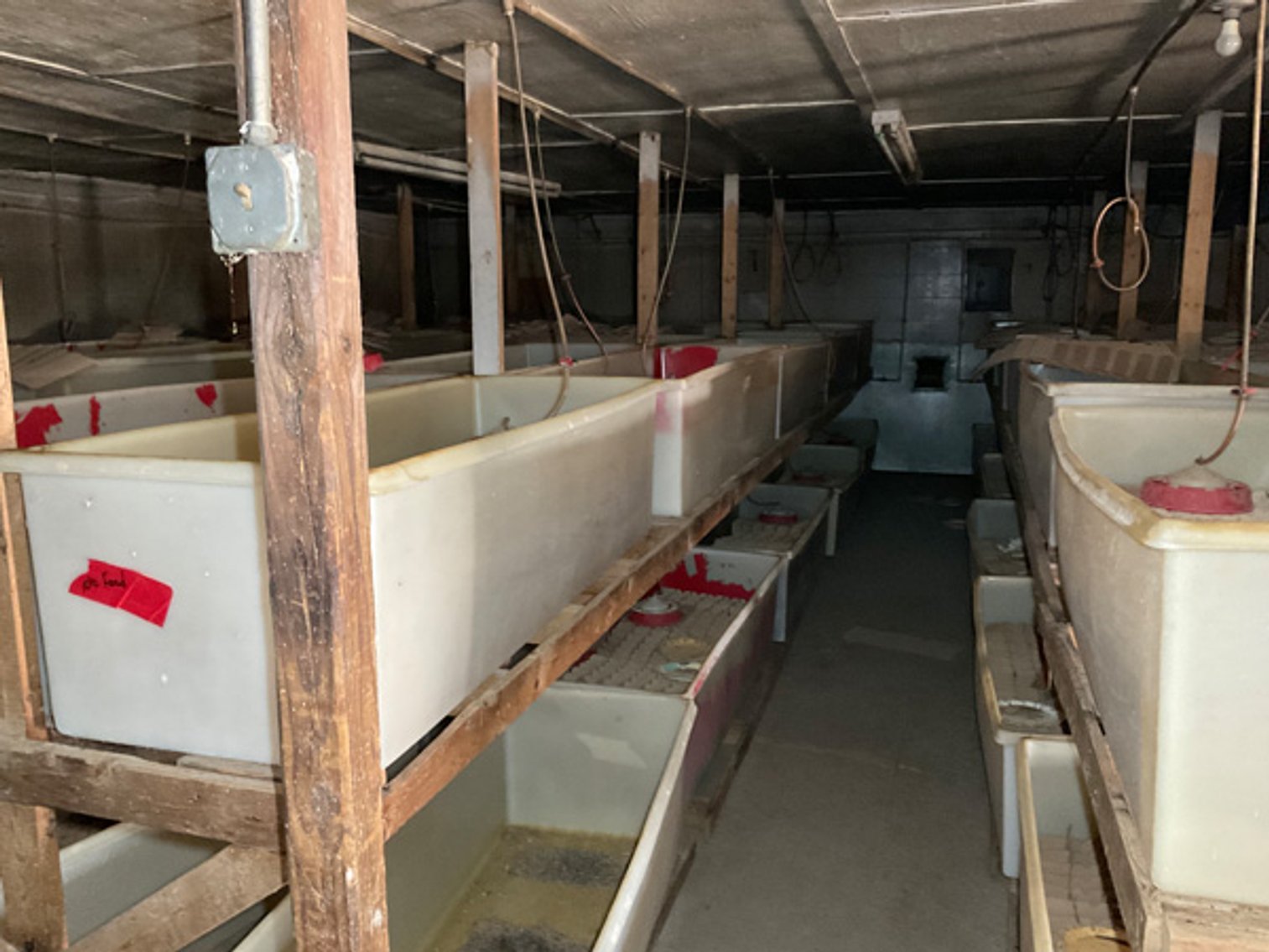 Image for Formerly Warrens Cricket Farm Inc. Personal Property