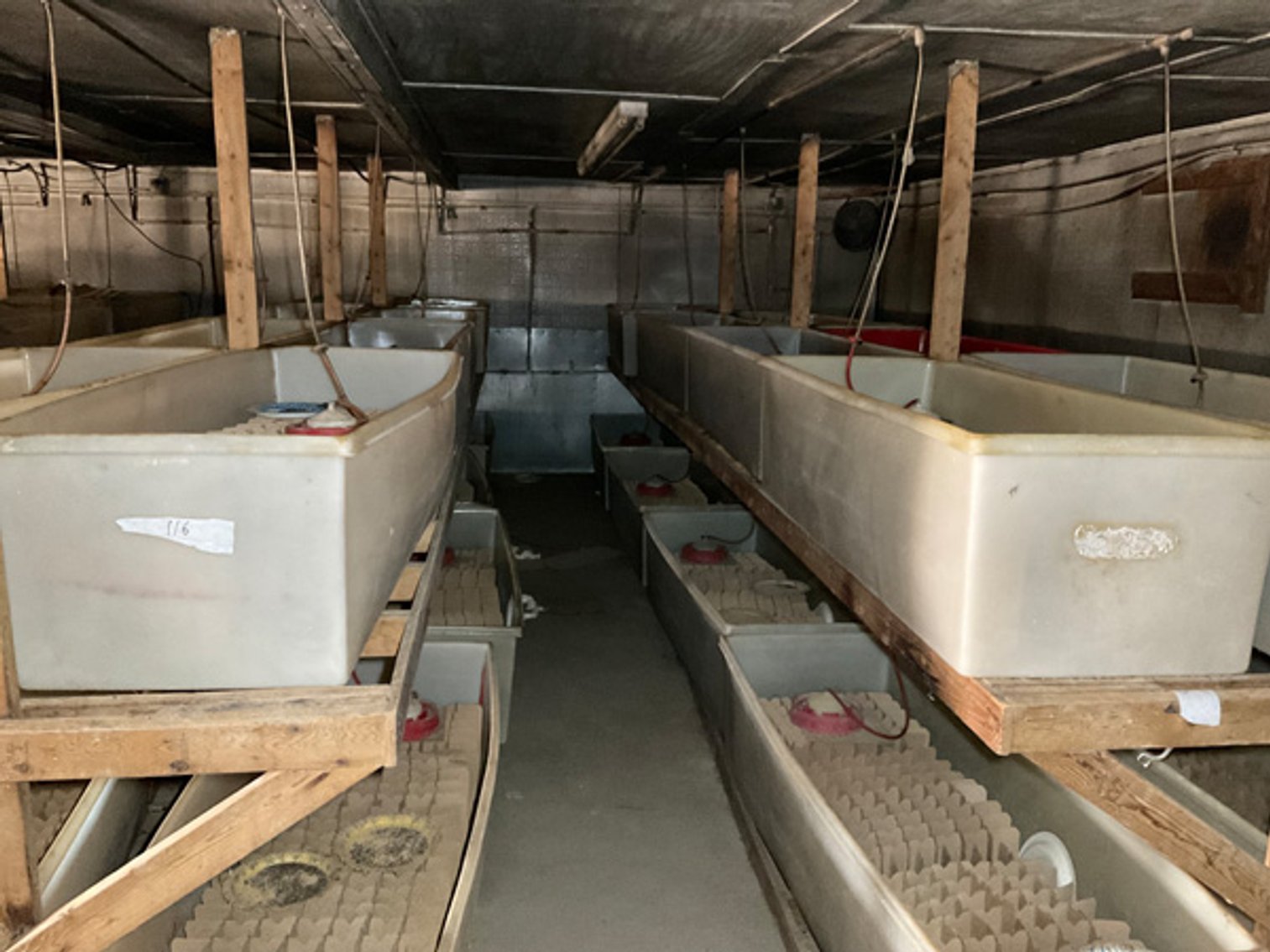 Image for Formerly Warrens Cricket Farm Inc. Personal Property