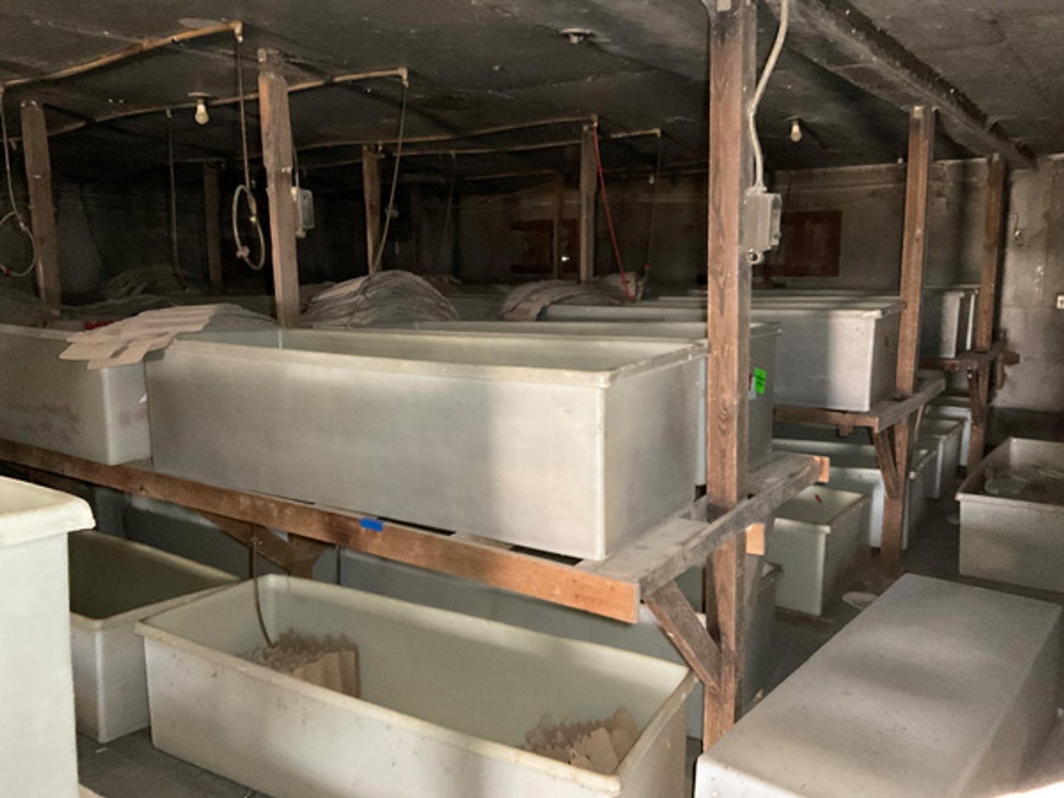 Image for Formerly Warrens Cricket Farm Inc. Personal Property