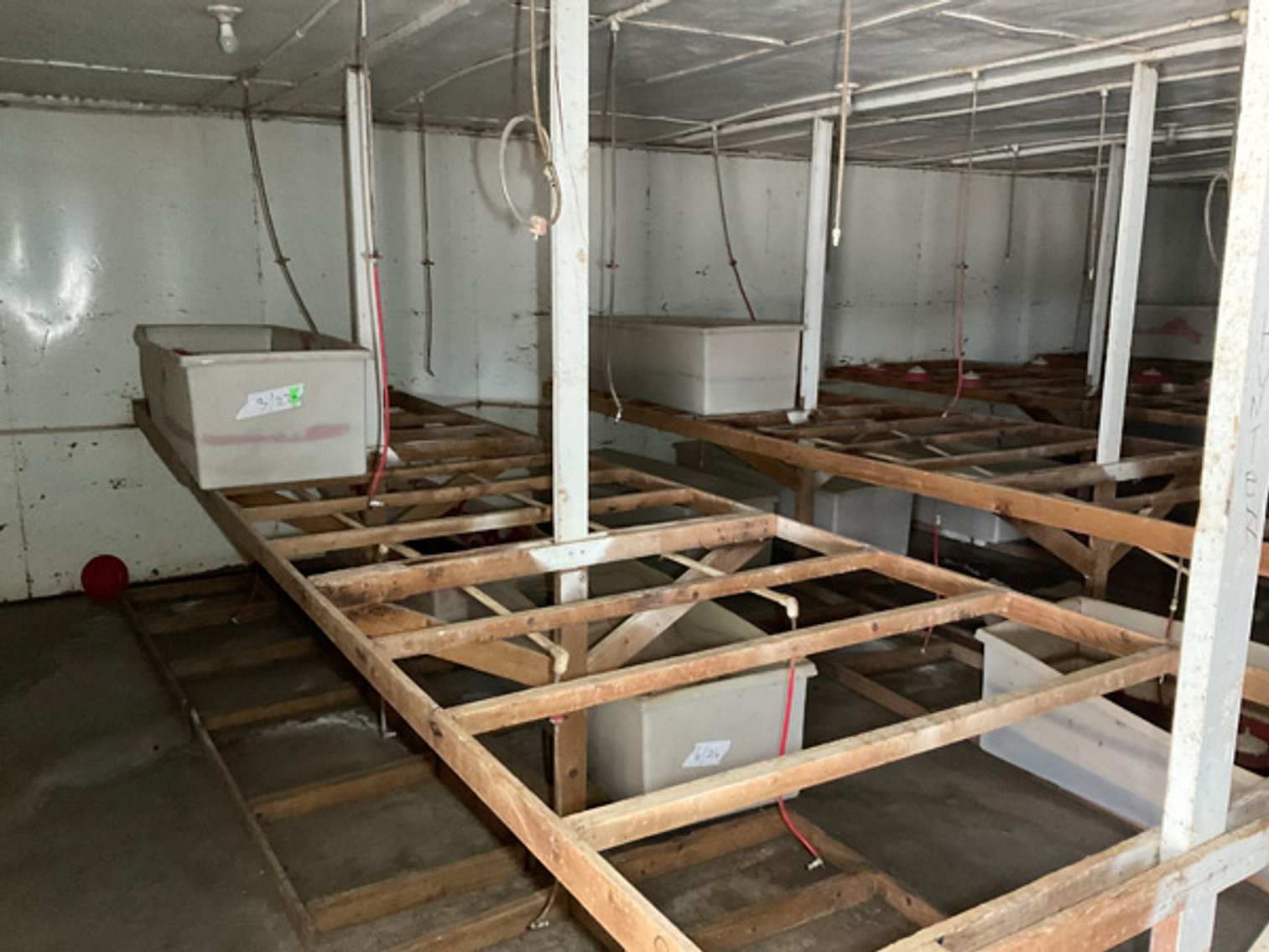 Image for Formerly Warrens Cricket Farm Inc. Personal Property