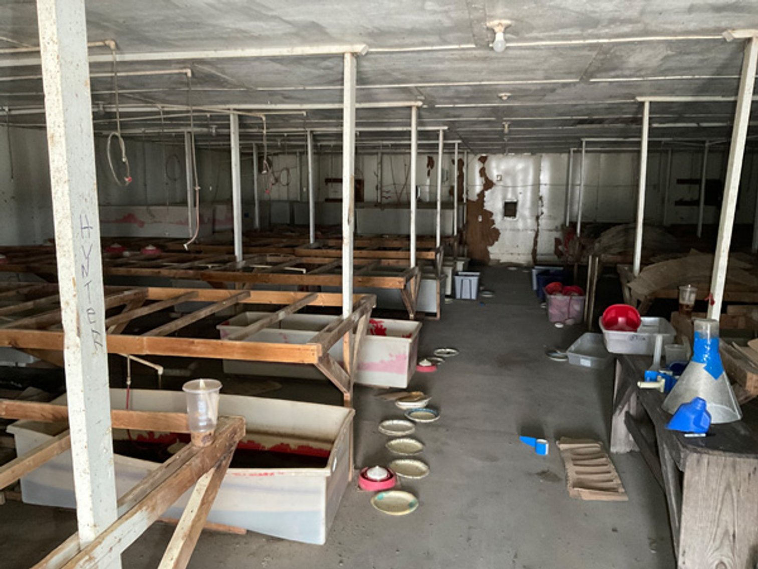 Image for Formerly Warrens Cricket Farm Inc. Personal Property