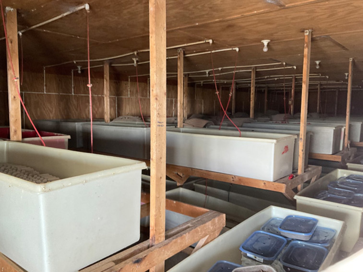 Image for Formerly Warrens Cricket Farm Inc. Personal Property