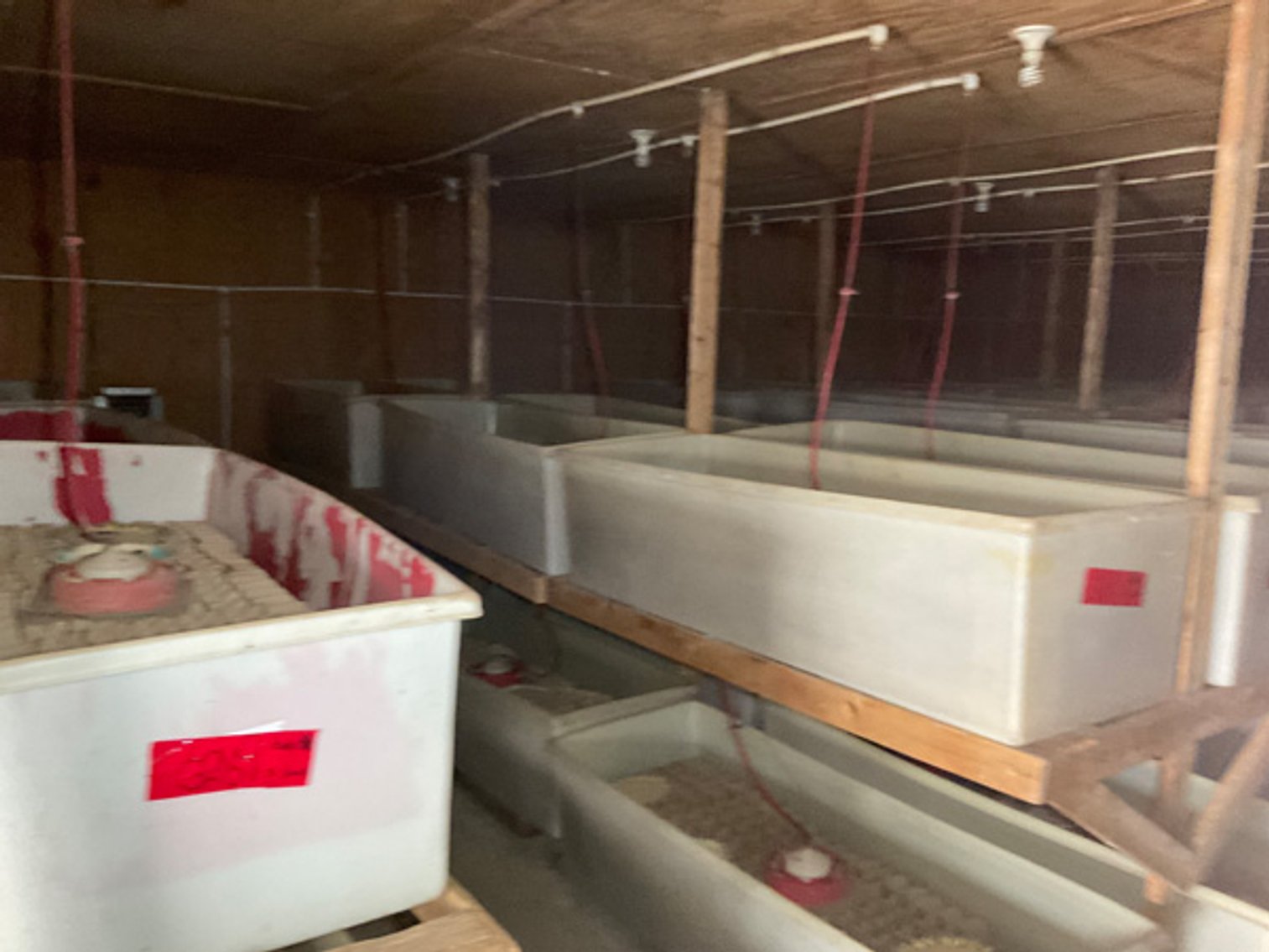 Image for Formerly Warrens Cricket Farm Inc. Personal Property