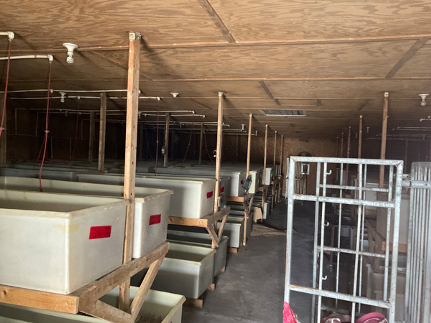 Image for Formerly Warrens Cricket Farm Inc. Personal Property