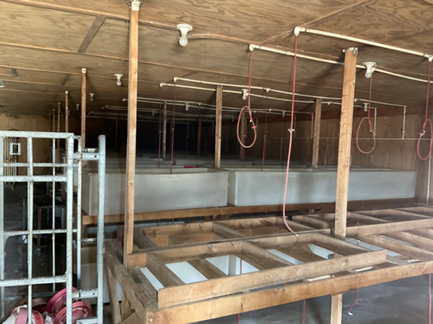 Image for Formerly Warrens Cricket Farm Inc. Personal Property