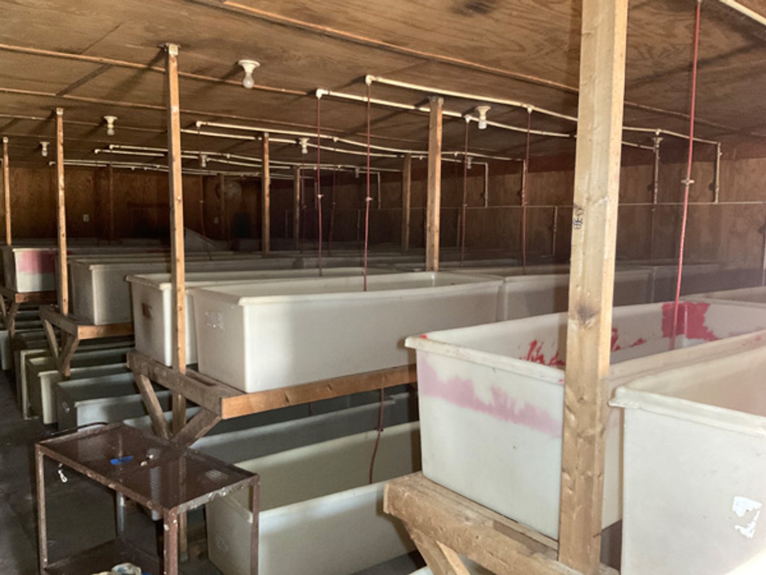 Image for Formerly Warrens Cricket Farm Inc. Personal Property