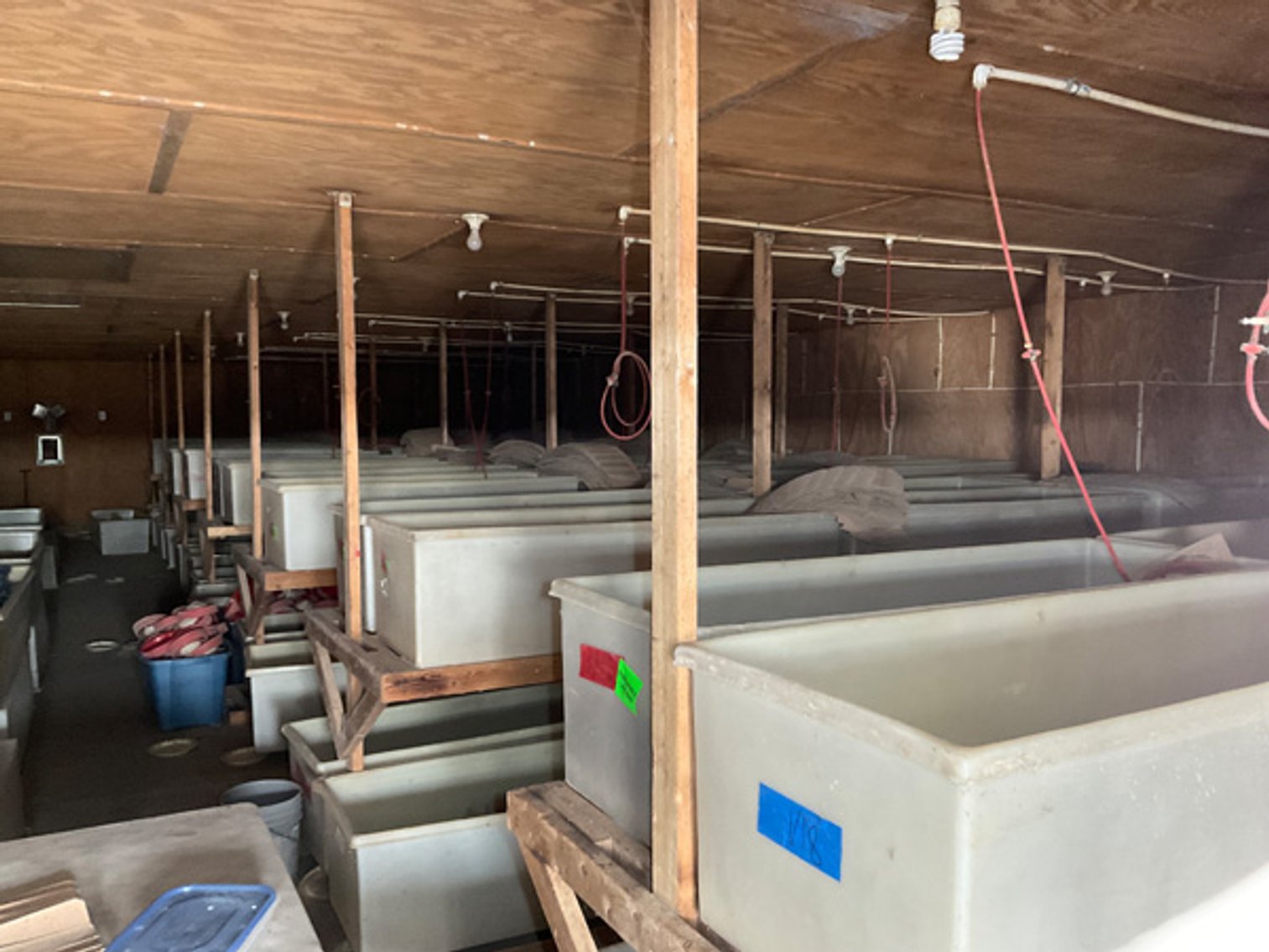 Image for Formerly Warrens Cricket Farm Inc. Personal Property