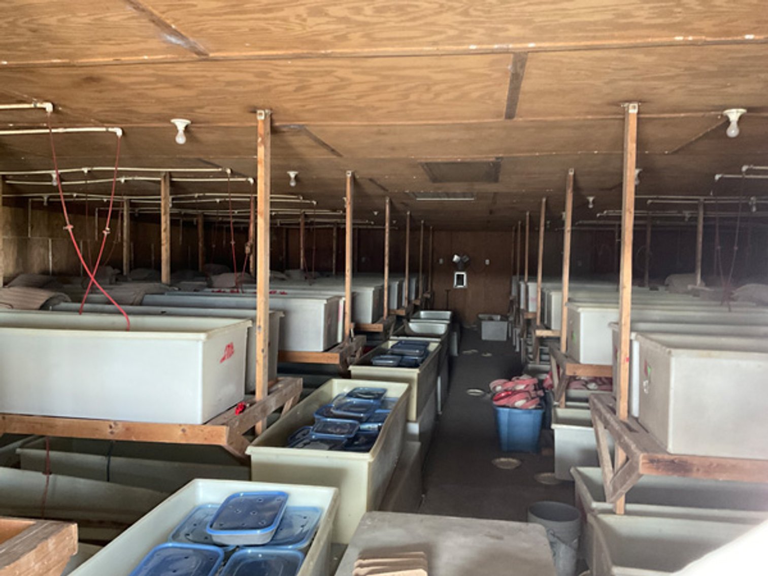 Image for Formerly Warrens Cricket Farm Inc. Personal Property