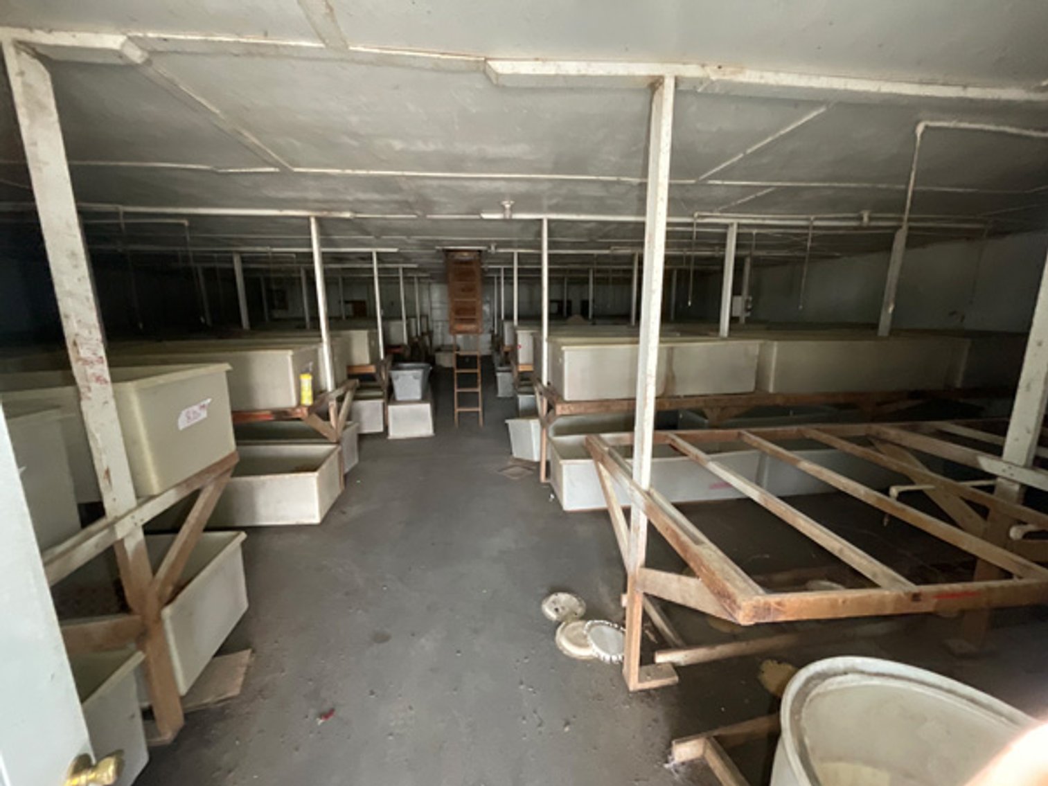 Image for Formerly Warrens Cricket Farm Inc. Personal Property