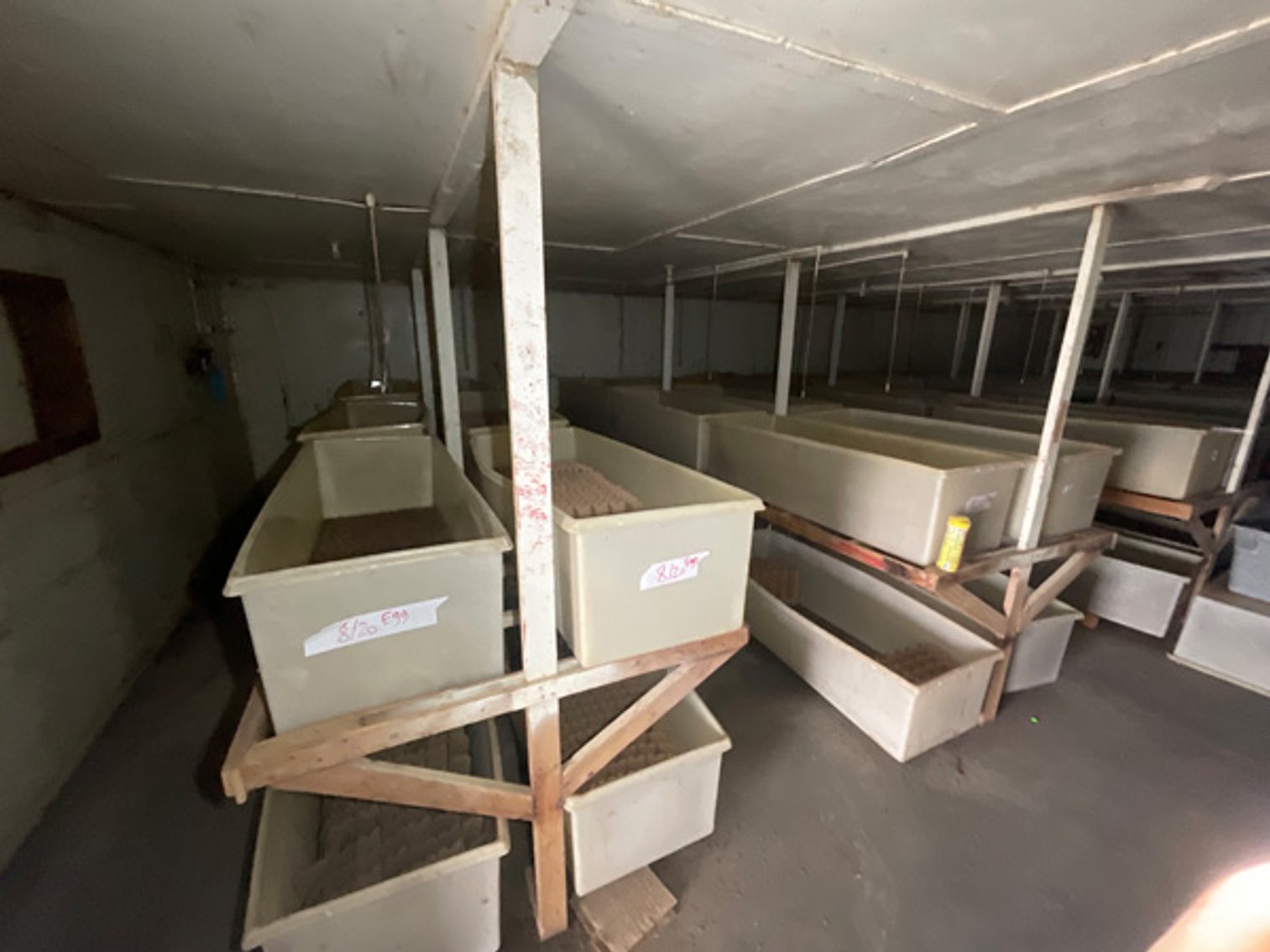 Image for Formerly Warrens Cricket Farm Inc. Personal Property