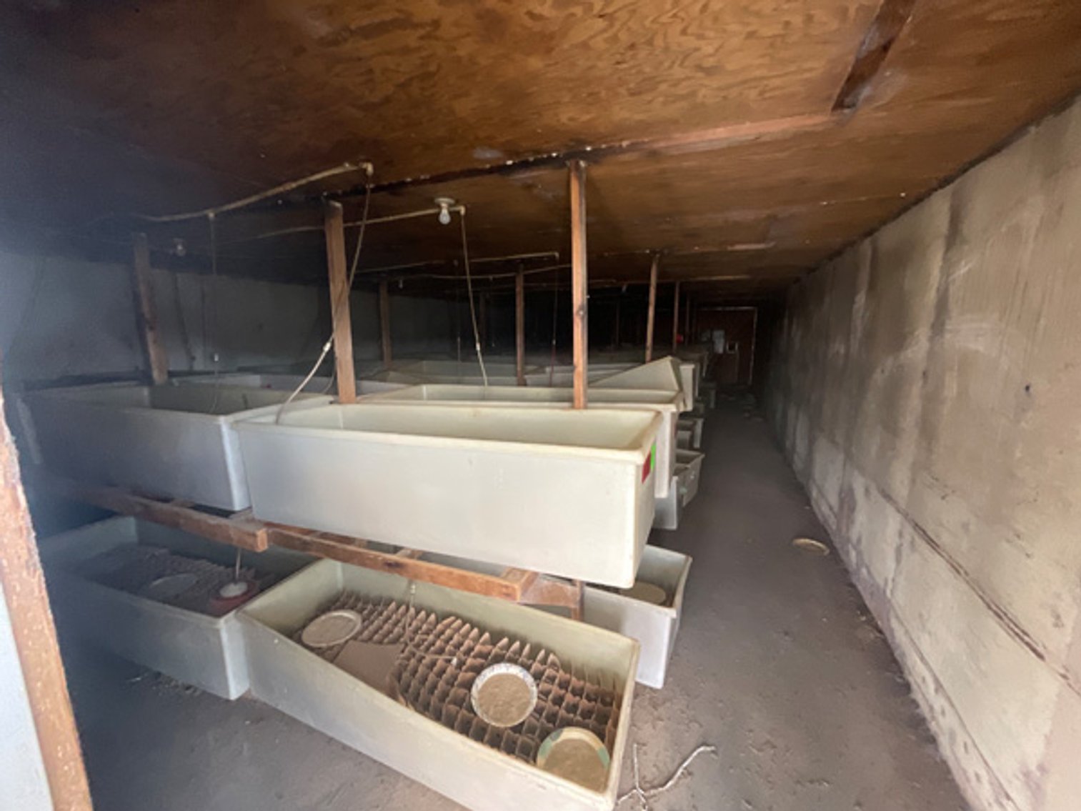 Image for Formerly Warrens Cricket Farm Inc. Personal Property