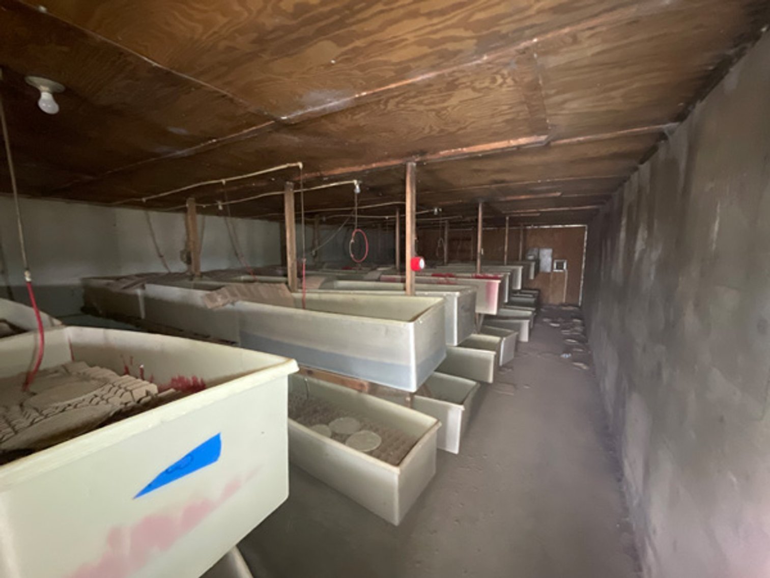 Image for Formerly Warrens Cricket Farm Inc. Personal Property