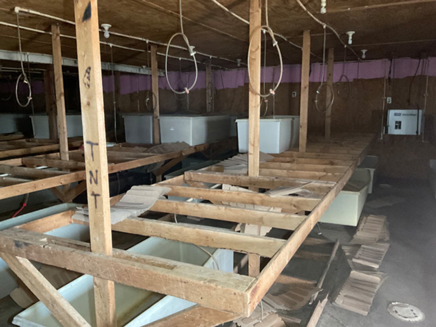 Image for Formerly Warrens Cricket Farm Inc. Personal Property