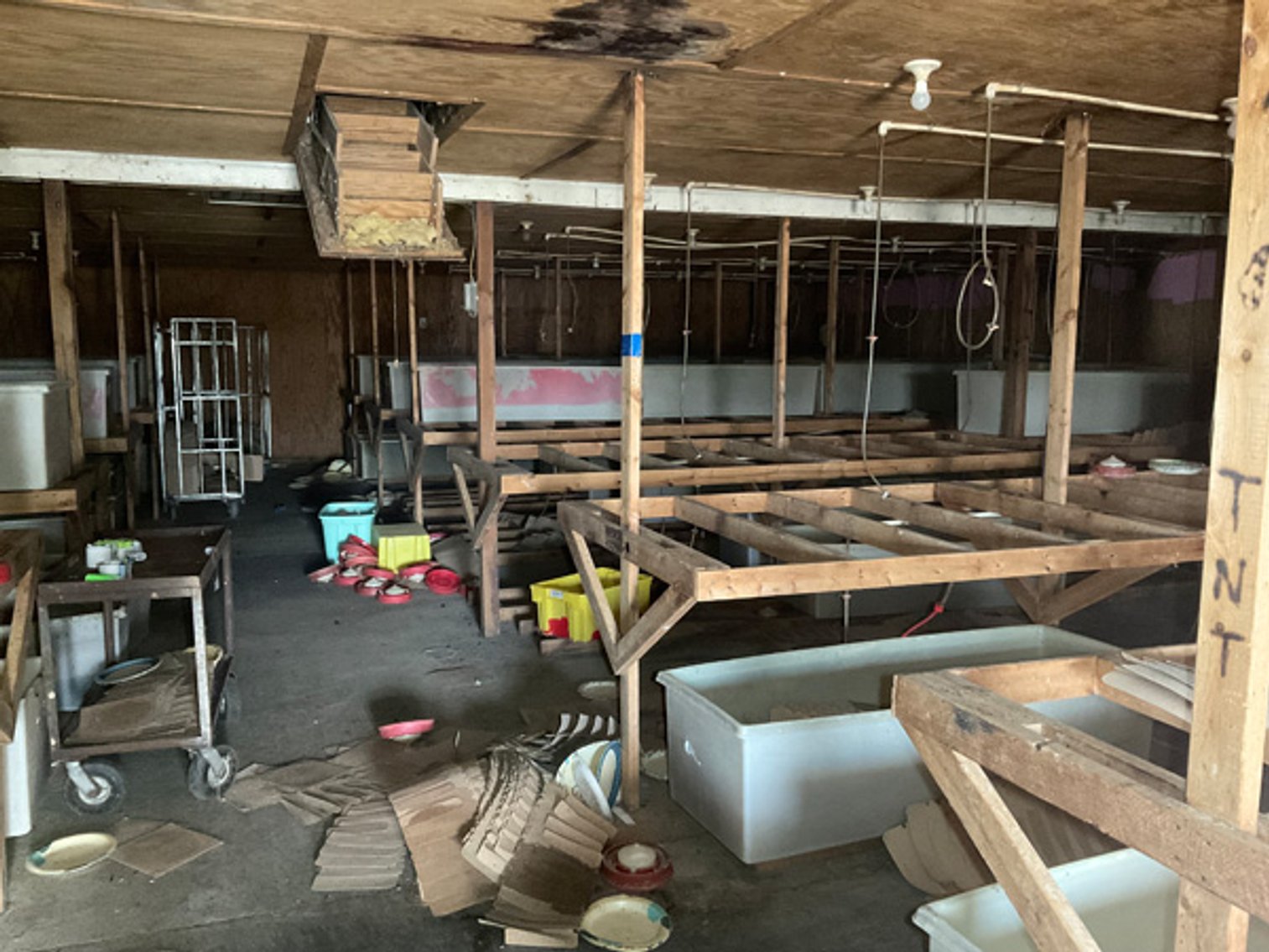 Image for Formerly Warrens Cricket Farm Inc. Personal Property