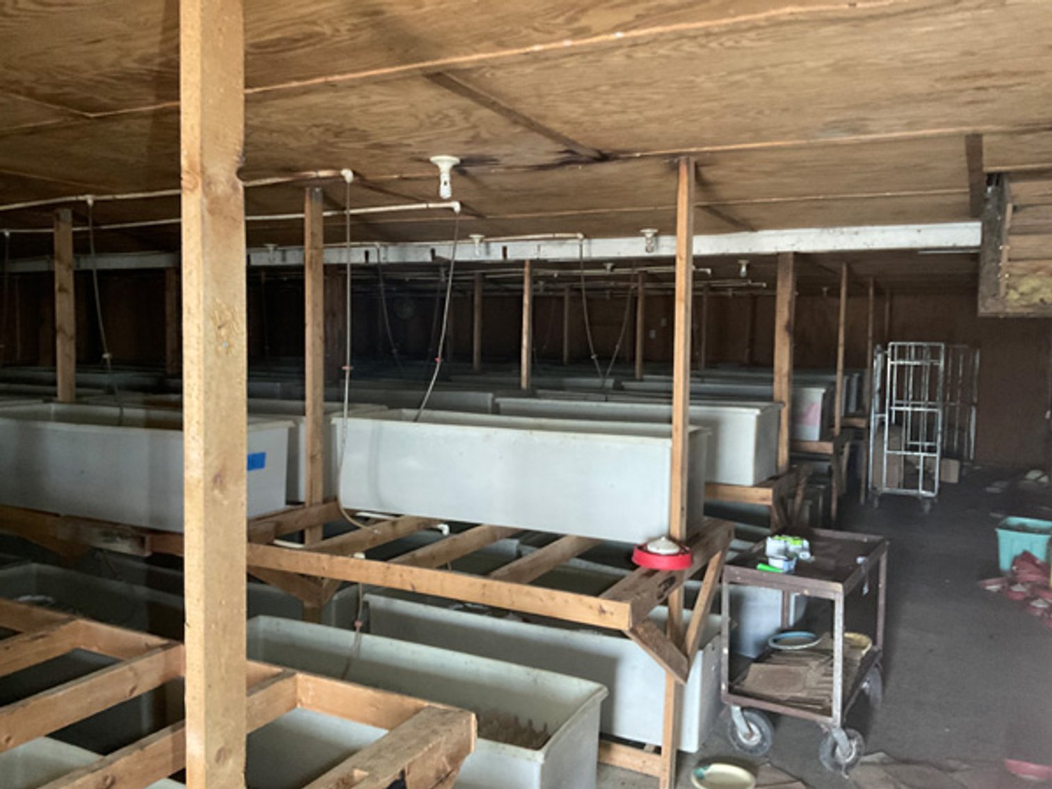 Image for Formerly Warrens Cricket Farm Inc. Personal Property