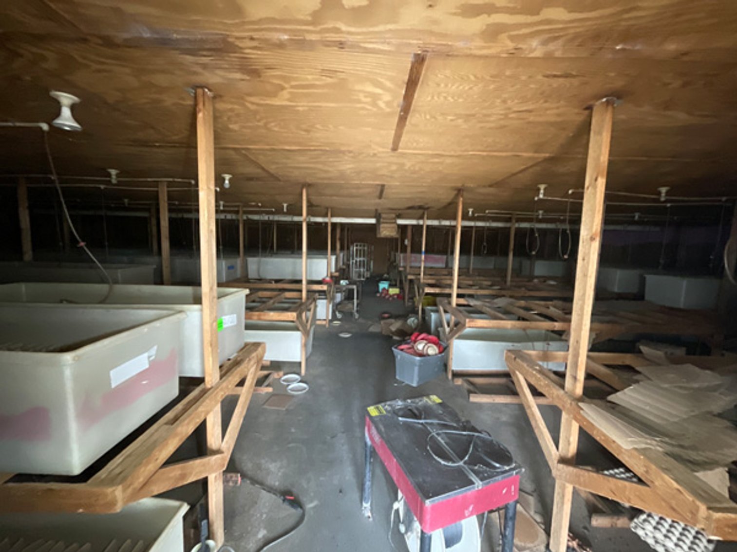 Image for Formerly Warrens Cricket Farm Inc. Personal Property