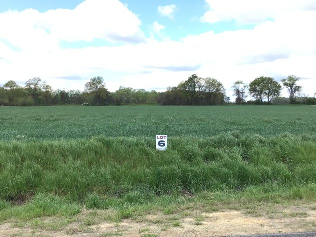 Image for 197 Acres in Harnett County Divided into Multiple Tracts with a Brick Ranch Home!
