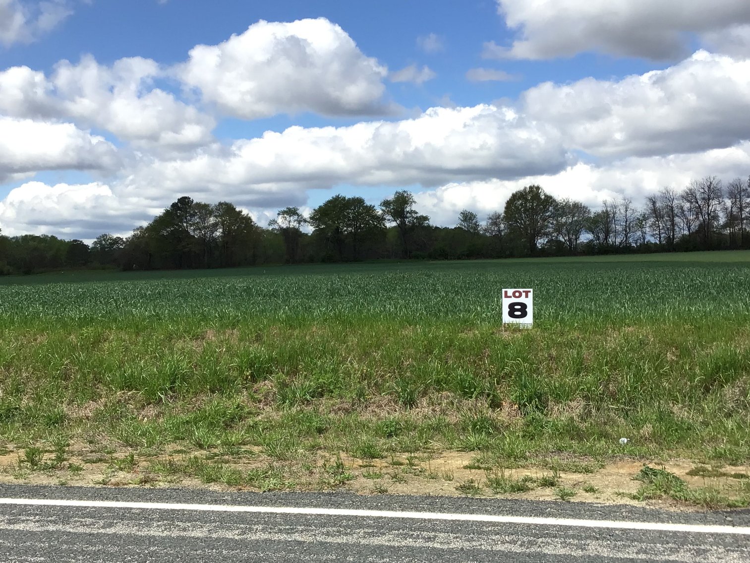 Image for 197 Acres in Harnett County Divided into Multiple Tracts with a Brick Ranch Home!