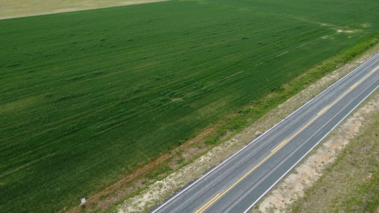 Image for 197 Acres in Harnett County Divided into Multiple Tracts with a Brick Ranch Home!