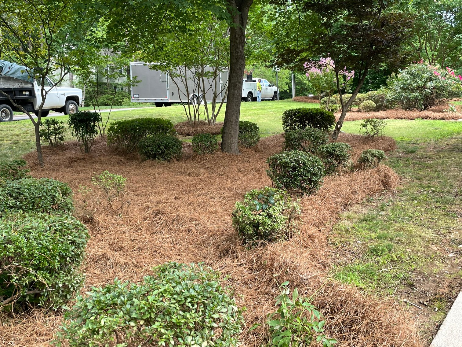 Image for Home in Greenwood Acres in Cary!