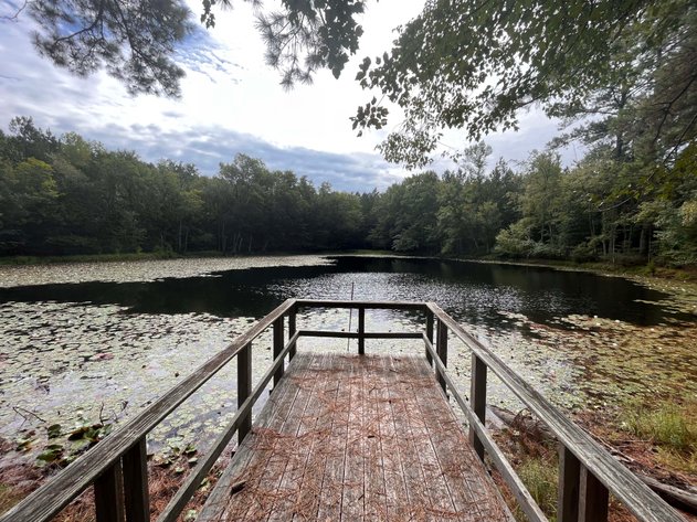 Image for 43 acres in Harnett County with a brick home in an onsite live /online / simulcast auction event!