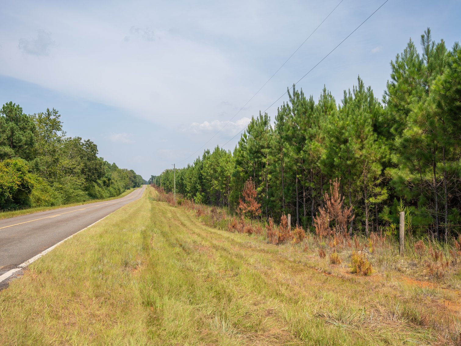 Image for 194+/- Acres - Holloway Place - Macon, Schley, & Sumter Counties, GA