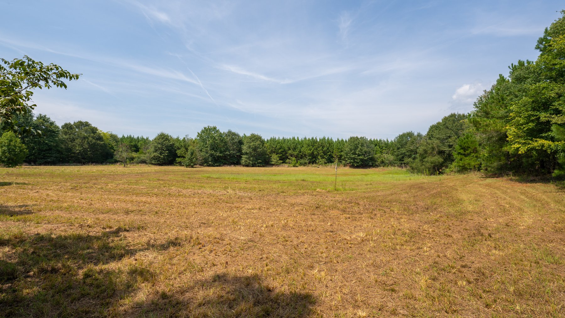 Image for 194+/- Acres - Holloway Place - Macon, Schley, & Sumter Counties, GA