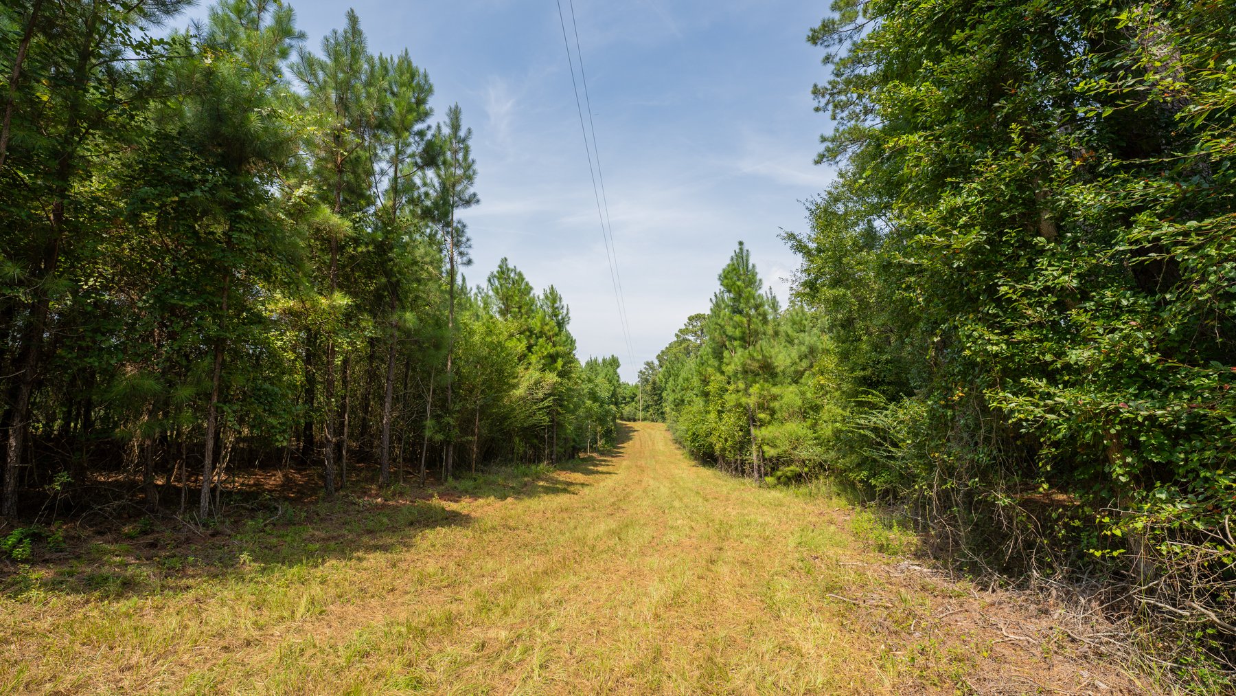 Image for 194+/- Acres - Holloway Place - Macon, Schley, & Sumter Counties, GA