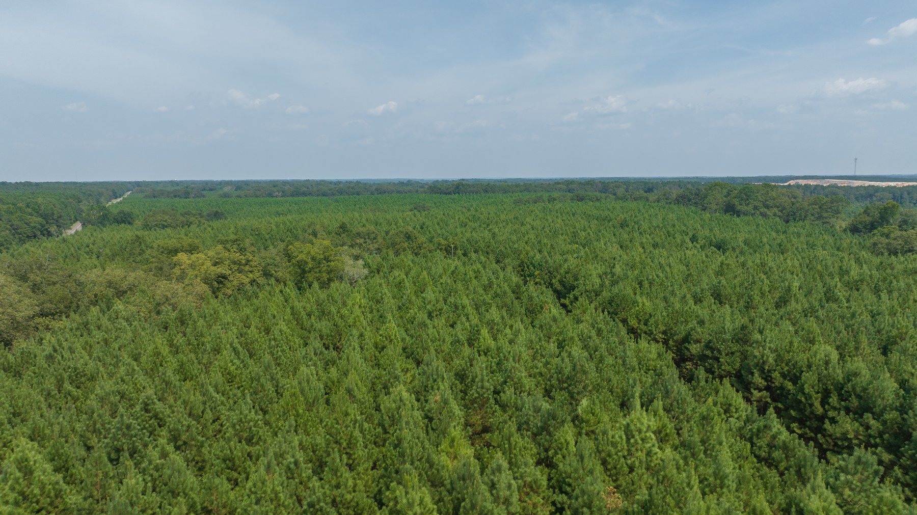 Image for 194+/- Acres - Holloway Place - Macon, Schley, & Sumter Counties, GA