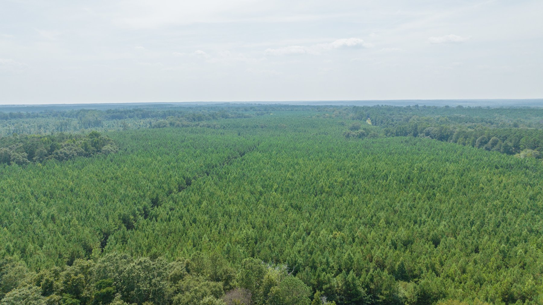 Image for 194+/- Acres - Holloway Place - Macon, Schley, & Sumter Counties, GA