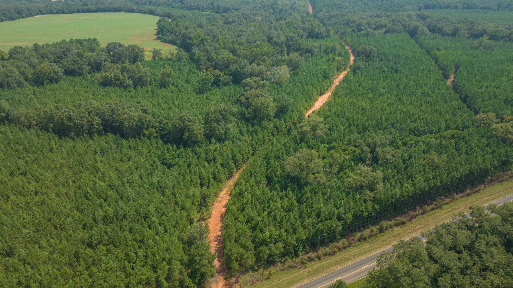 Image for 194+/- Acres - Holloway Place - Macon, Schley, & Sumter Counties, GA