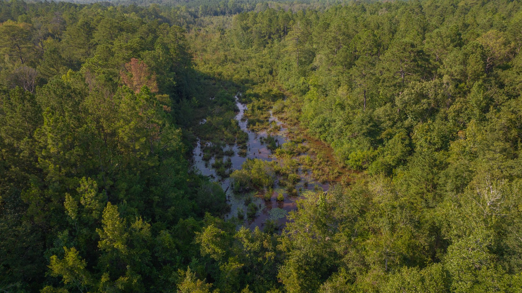 Image for 136+/- Acres - Shipp Place - Macon County, GA