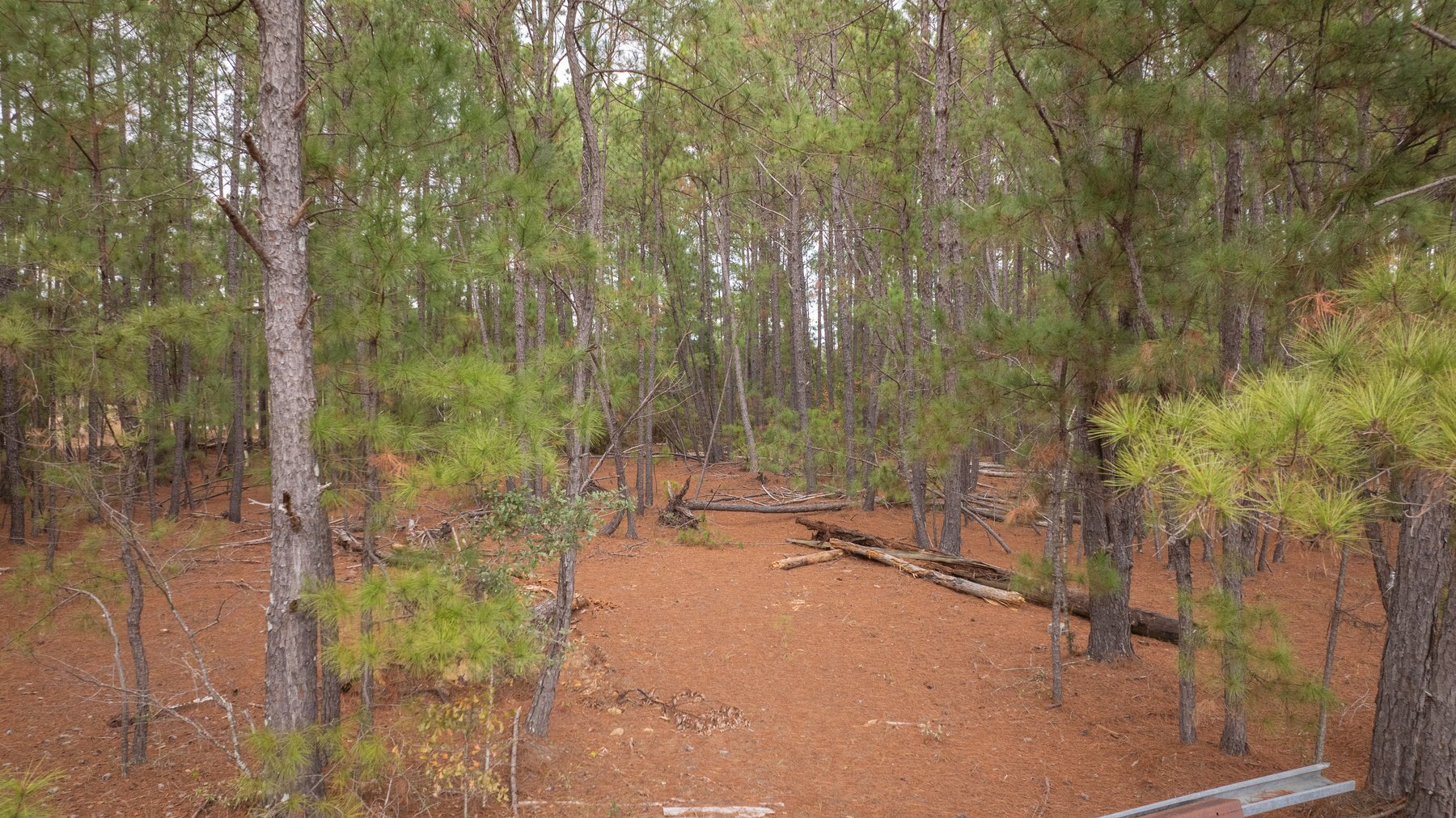 Image for Prime Investment Opportunity - 6.36+/- Acre Multi-Use Commercial Property