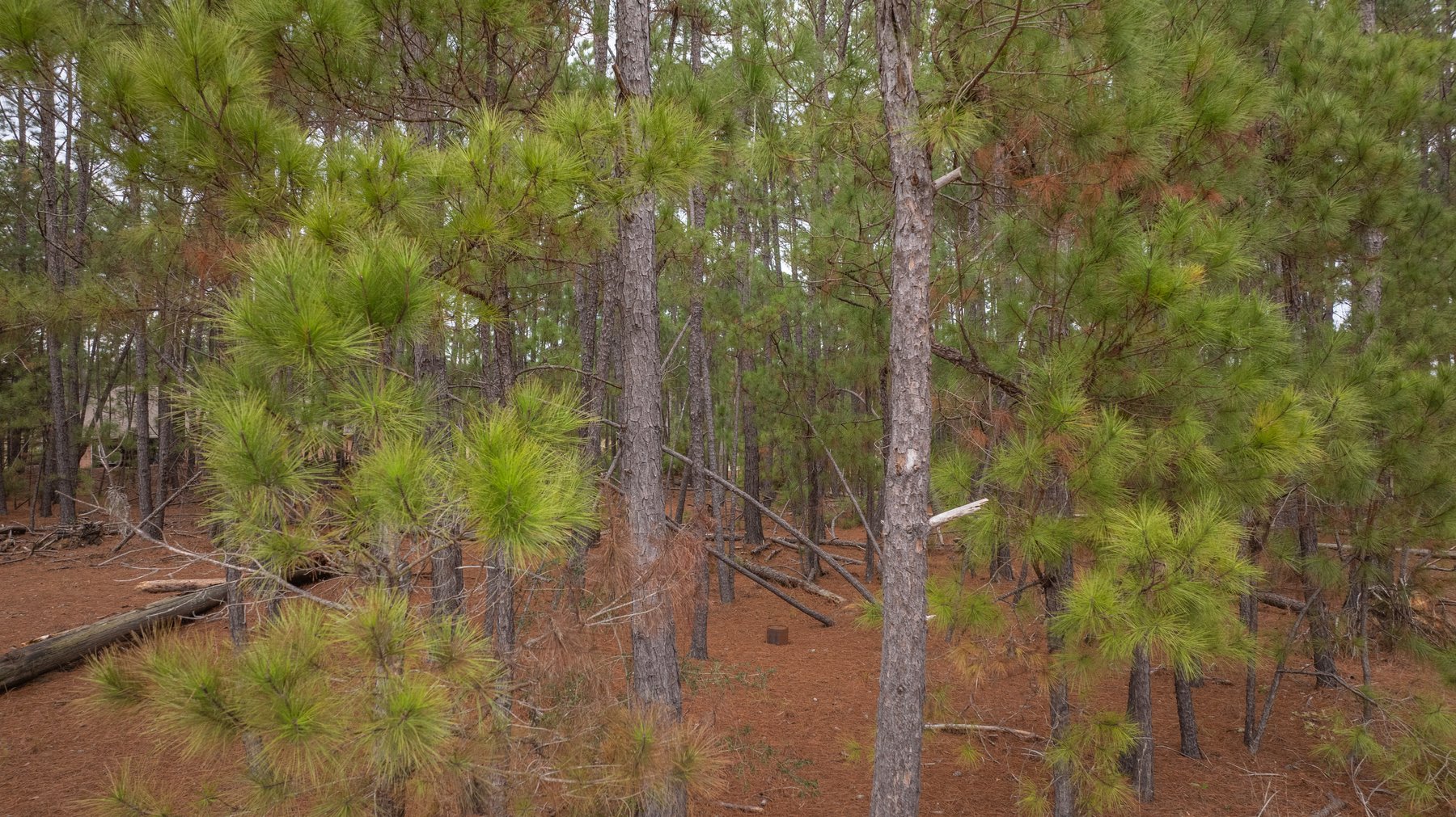 Image for Prime Investment Opportunity - 6.36+/- Acre Multi-Use Commercial Property