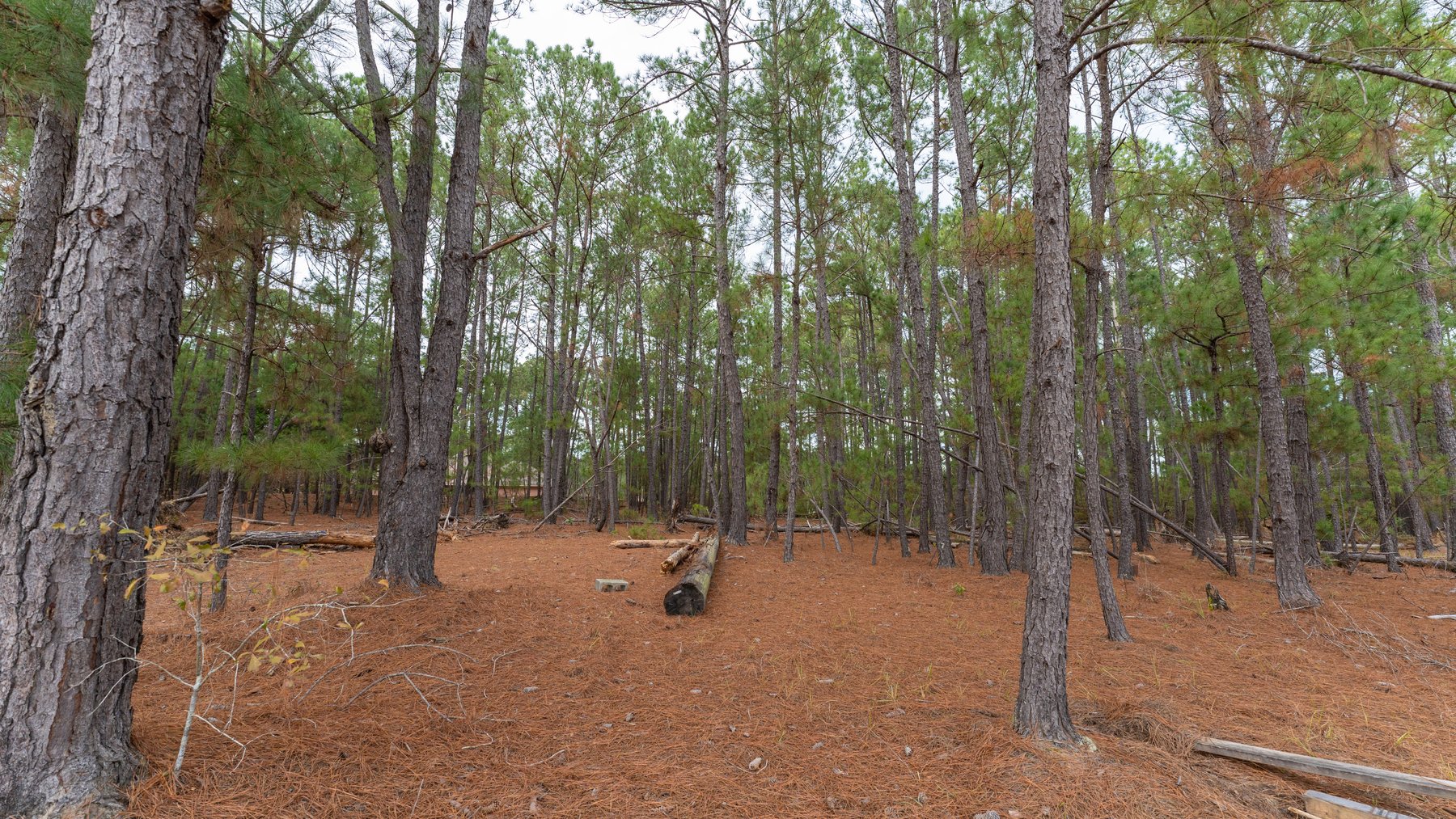 Image for Prime Investment Opportunity - 6.36+/- Acre Multi-Use Commercial Property