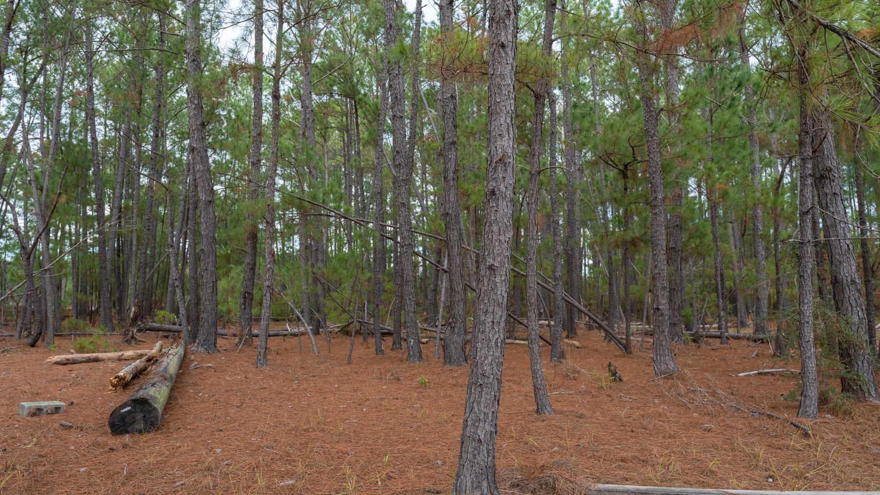 Image for Prime Investment Opportunity - 6.36+/- Acre Multi-Use Commercial Property