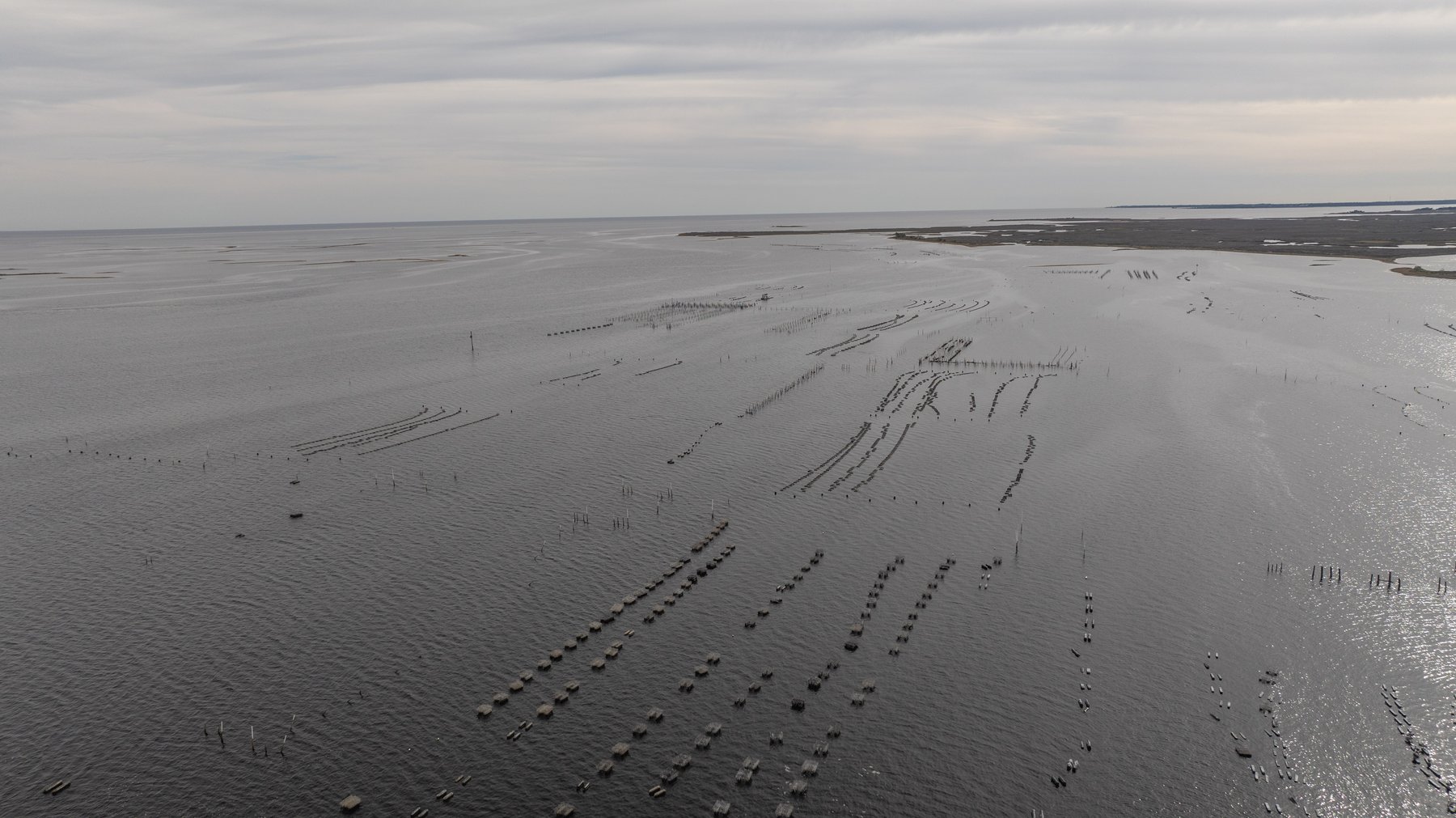 Image for 5 Aquaculture Oyster Leases in Oyster Bay, Florida