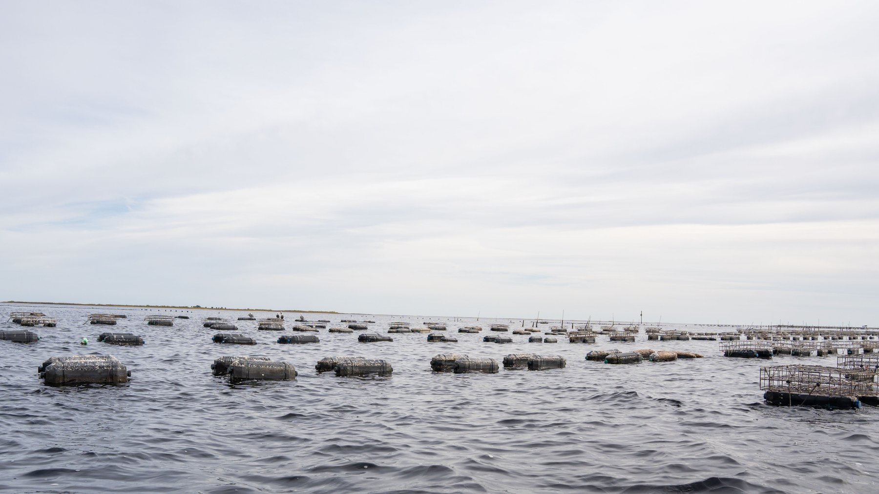 Image for 5 Aquaculture Oyster Leases in Oyster Bay, Florida